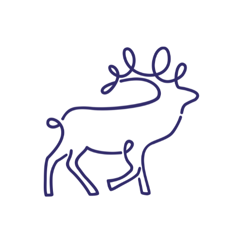 Visuomenės ir verslo plėtros institutas logotipas